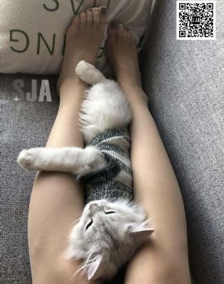 皮囊之下免费观看_超清全集免费播放